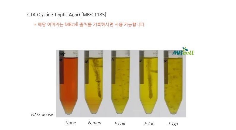 [CTA (Cystine Tryptic Agar)]